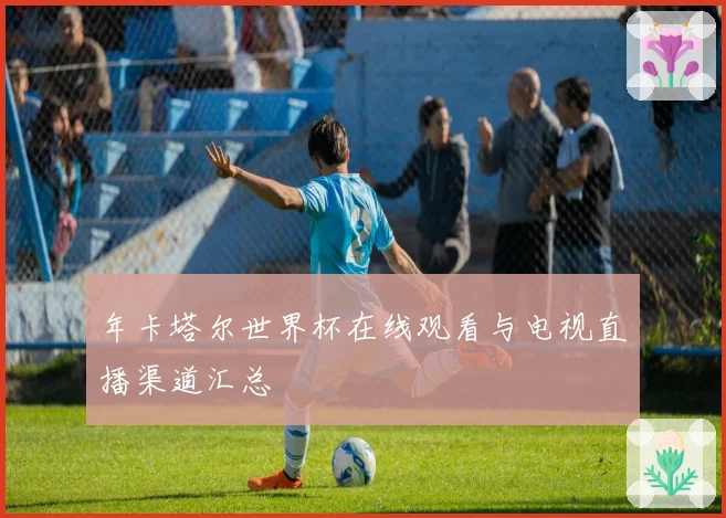 年卡塔尔世界杯在线观看与电视直播渠道汇总
