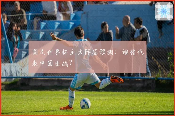 国足世界杯主力阵容预测：谁将代表中国出战？