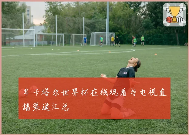 年卡塔尔世界杯在线观看与电视直播渠道汇总