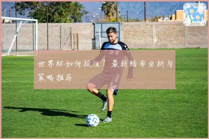世界杯如何投注？最新赔率分析与策略推荐