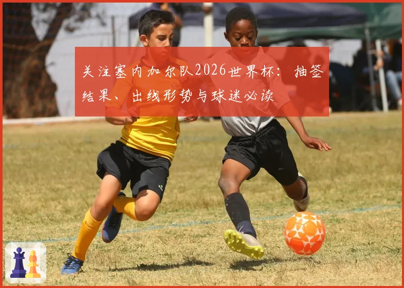 关注塞内加尔队2026世界杯：抽签结果、出线形势与球迷必读
