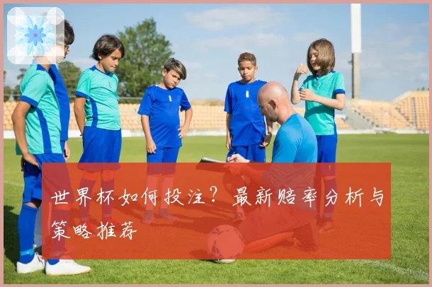 世界杯如何投注？最新赔率分析与策略推荐