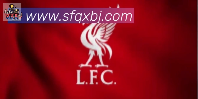 博亚app官网合作伙伴